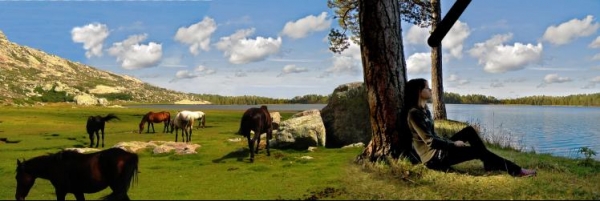 Creation of wild horses: Step 4